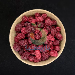 شاتوت خشک فریزدرای