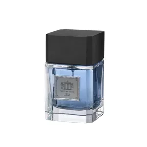 عطر مردانه پرفیوم هاوس مدل Fresh حجم 100میل