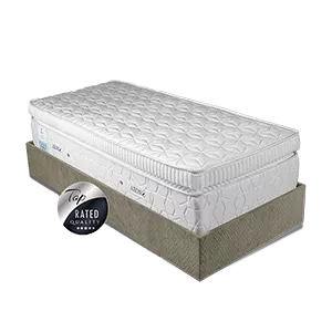 تشک آکسون مدل میراکل Miracle در 5 سایز