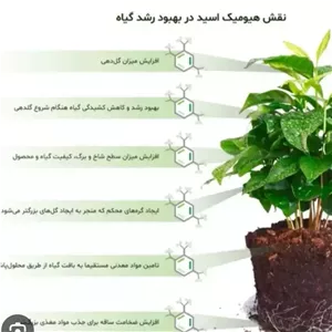 کود هیومیک اسید (اصلاح خاک گلدان و باغچه) بسته آشا تجارت