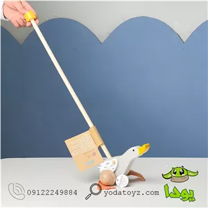 واکر راهبر عصایی طرح غاز پیکاردو