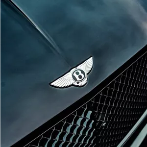 سرامیک بدنه خودرو سیستم ایکس Diamond SS حجم 65 میلی‌لیتر | پوشش نانو حرفه‌ای با ماندگاری بالا