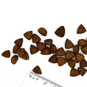 غذای خشک سگ بالغ مونژه رنال اگزالات مناسب مشکلات کلیوی طعم مرغ وزن 2 کیلوگرم Monge VetSolution Renal Oxalate