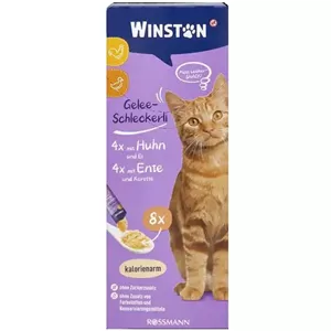 بستنی وینستون گربه طعم مرغ و اردک