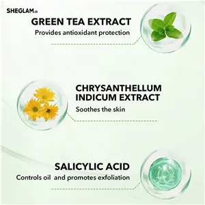 پرایمر کاسه ای شیگلم