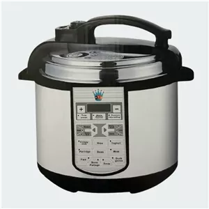 پلوپز و زودپز برقی چندکاره 8 لیتری RTS مدل D8001A | همراه با 2 سال گارانتی
