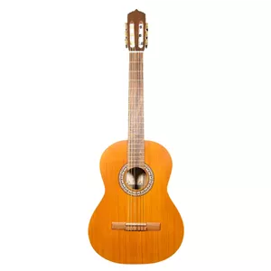 گیتار پارسی M6