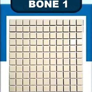 کاشی استخری