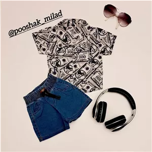 دو تیکه هاوایی دلار