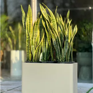 گلدان پلی اتیلن مدل باکس