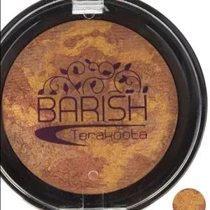 رژگونه تراکوتا باریش مدل Silky touch شماره 203