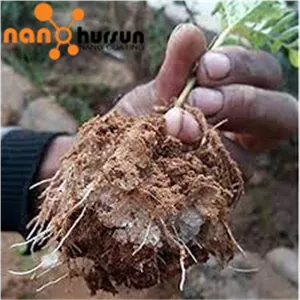 سوپر جاذب کشاورزی نانو هورسان مدل 109 وزن 5 کیلوگرم