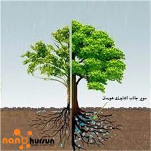 سوپر جاذب کشاورزی نانو هورسان مدل 109 وزن 2 کیلوگرم