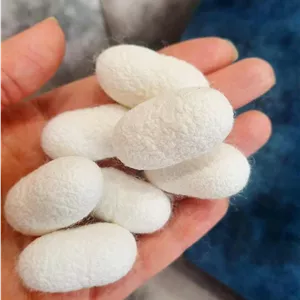 پیله کرم ابریشم ارگانیک و توپر ایرانی  اسکراب طبیعی برای پوستی جوان و ابریشمی پک ۳۰ عددی