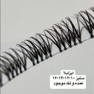 مژه ایزابلا