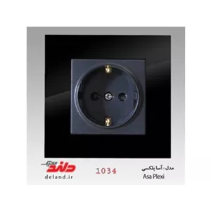 پریز ارت محافظ دار آسا پلکسی