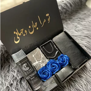 پک هدیه مردانه شیک و اقتصادی| ست کارتیر استیلکیف پول  کمربند اسپری و باکس چوبی شیک ۲