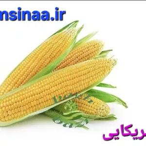 ذرت آمریکایی کیلو ۱۲۰