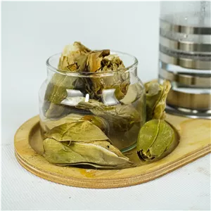 گل نیلوفر