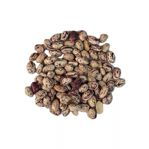 لوبیا چیتی خارجی یک کیلو