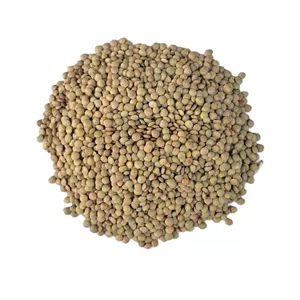 عدس خارجی یک کیلو