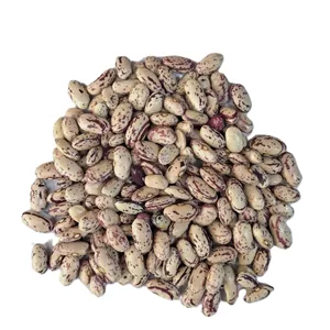 لوبیا چیتی ایرانی یک کیلو