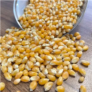 ذرت پاپ کورن ممتاز (یک کیلو)