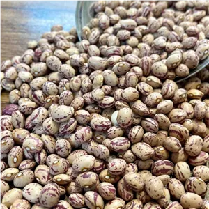 لوبیا چیتی دستچین ممتاز (یک کیلو)