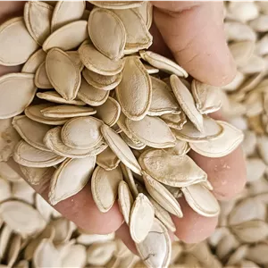 تخمه کدو نمکی