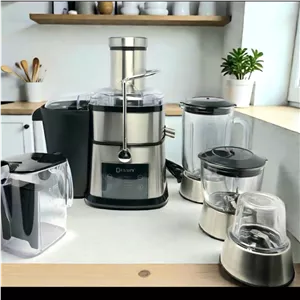 آبمیوه گیر 4 کاره دسینی مدل DS3388