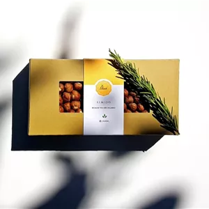 مغز فندق سوپر لوکس اِلمیدو