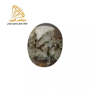 نگین شجر بهاری (کد۷۶)