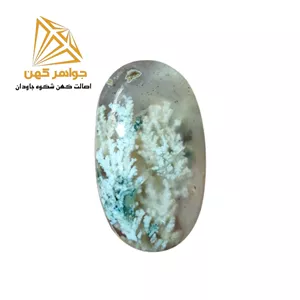 نگین شجر بهاری (کد 70)