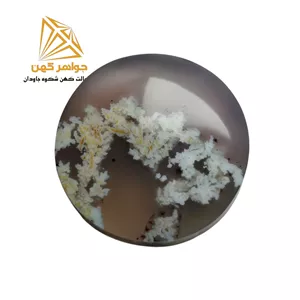 نگین شجر بهاری (کد۷۴)