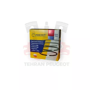 رینگ موتور پراید 0/25 مارموت