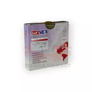 رینگ موتور هافنر پژو XUM