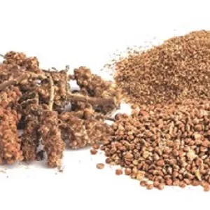 پودر سماق قهوه ای ( 1 کیلوگرم )