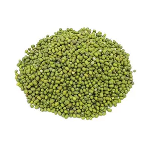 ماش - 10 کیلوگرم (قیمت عمده)