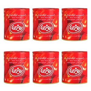 کنسرو رب گوجه فرنگی روژین - 12 قوطی رب (قیمت عمده)