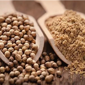 پودر تخم گشنیز ( 1 کیلوگرم )