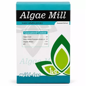 کود جلبک دریایی پودری 80% Algae Mill (میل‌تار) – ۱ کیلوگرم