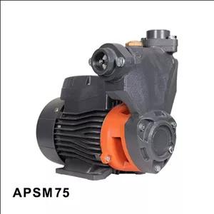 پمپ یک اسب خودمکش لئو مدل APSM75