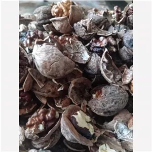 گردو با مغز فسنحونی یک کیلو