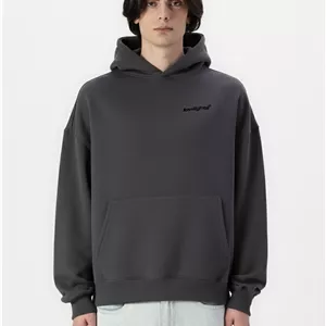 هودی بیسیک لوگو گلدوزی رنگ طوسی تیره لولایتز LOWLIGHTS