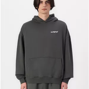 هودی بیسیک لوگو گلدوزی رنگ طوسی اسیدشور لولایتز LOWLIGHTS