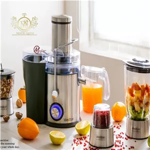 آب میوه گیر 4 کاره انالوگ