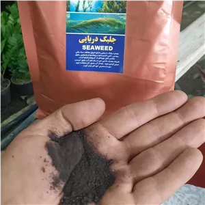 خرید عمده کود جلبک دریایی ۱ کیلویی پک ۱۰ عددی | کودکُور