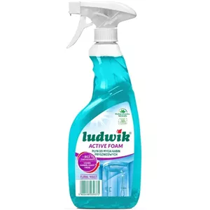اسپری کابین حمام ضد بخار لودویک ( LUDWIK ) مدل اکتیو فوم حجم 600 میل رایحه
