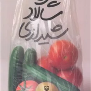پروژه سالاد شیرازی