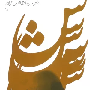 شبی در شارستان شور